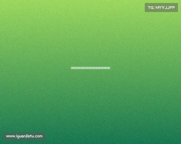 金秋十月武汉体育中心激情赛事盛宴全民参与共享运动精彩 金秋十月武汉体育中心激情赛事盛宴全民参与共享运动精彩