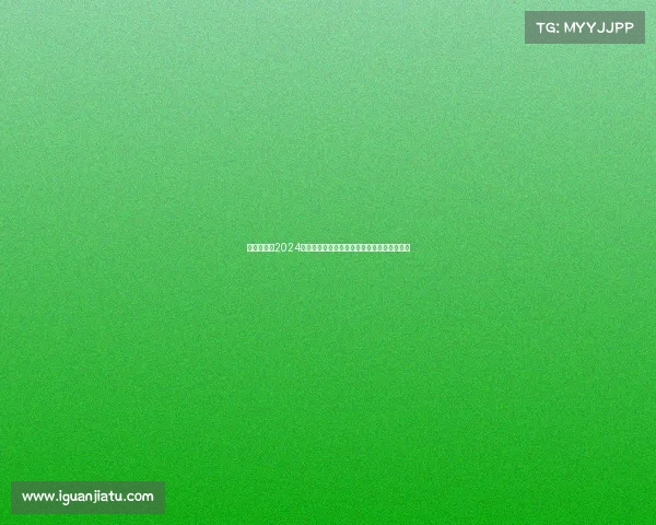 一级方程式2024赛季激情竞速全球顶尖车队巅峰对决精彩纷呈