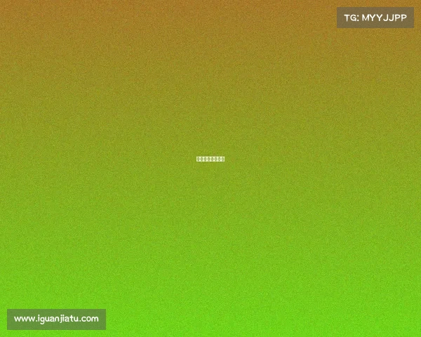 新加坡体育直播网