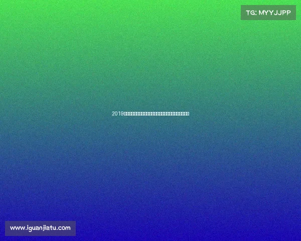 2019年拳击赛事全面预告：重量级对决明星崛起与年度盛事前瞻