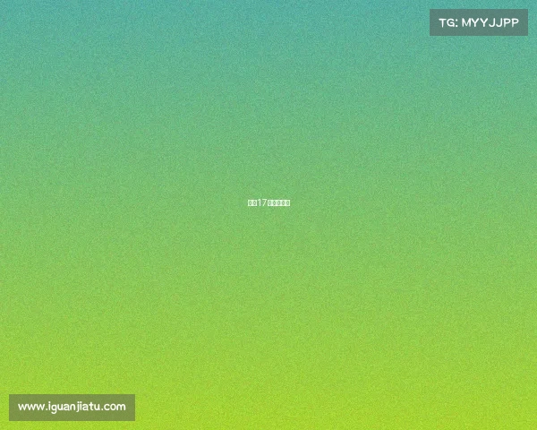 围棋17个世界冠军