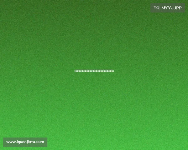 巴西足球昨日焦点赛事全面回顾比赛结果与精彩瞬间分析