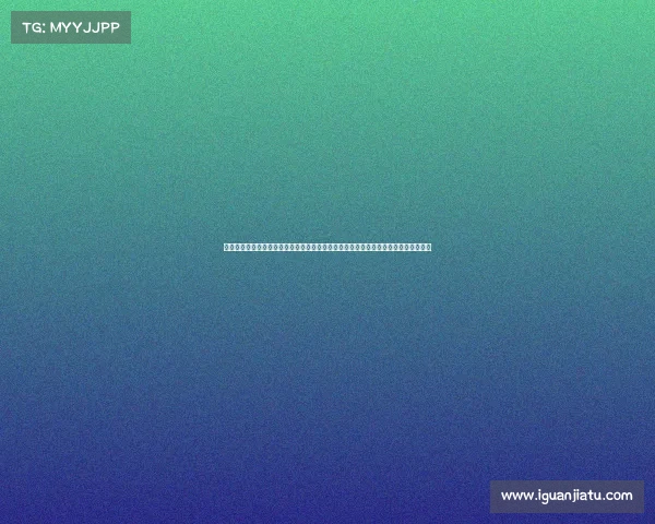 武术赛事网打造全球武术赛事信息中枢提供实时比分赛程更新选手档案及文化传播平台